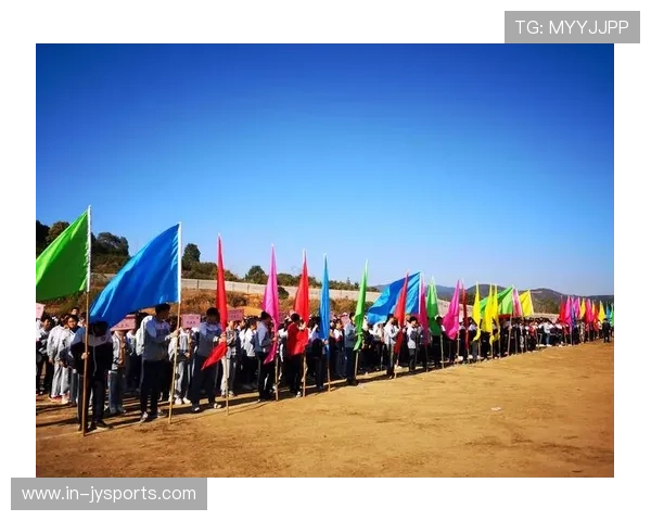 《战队纪录片：赛场背后的拼搏与泪水，探索竞技精神与人生困境》